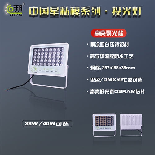 中國星私模系列·投光燈40W