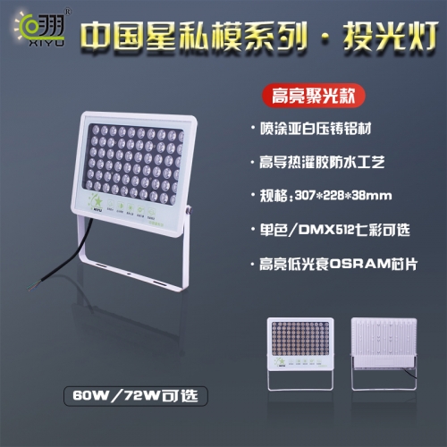 中國星私模系列·投光燈60W
